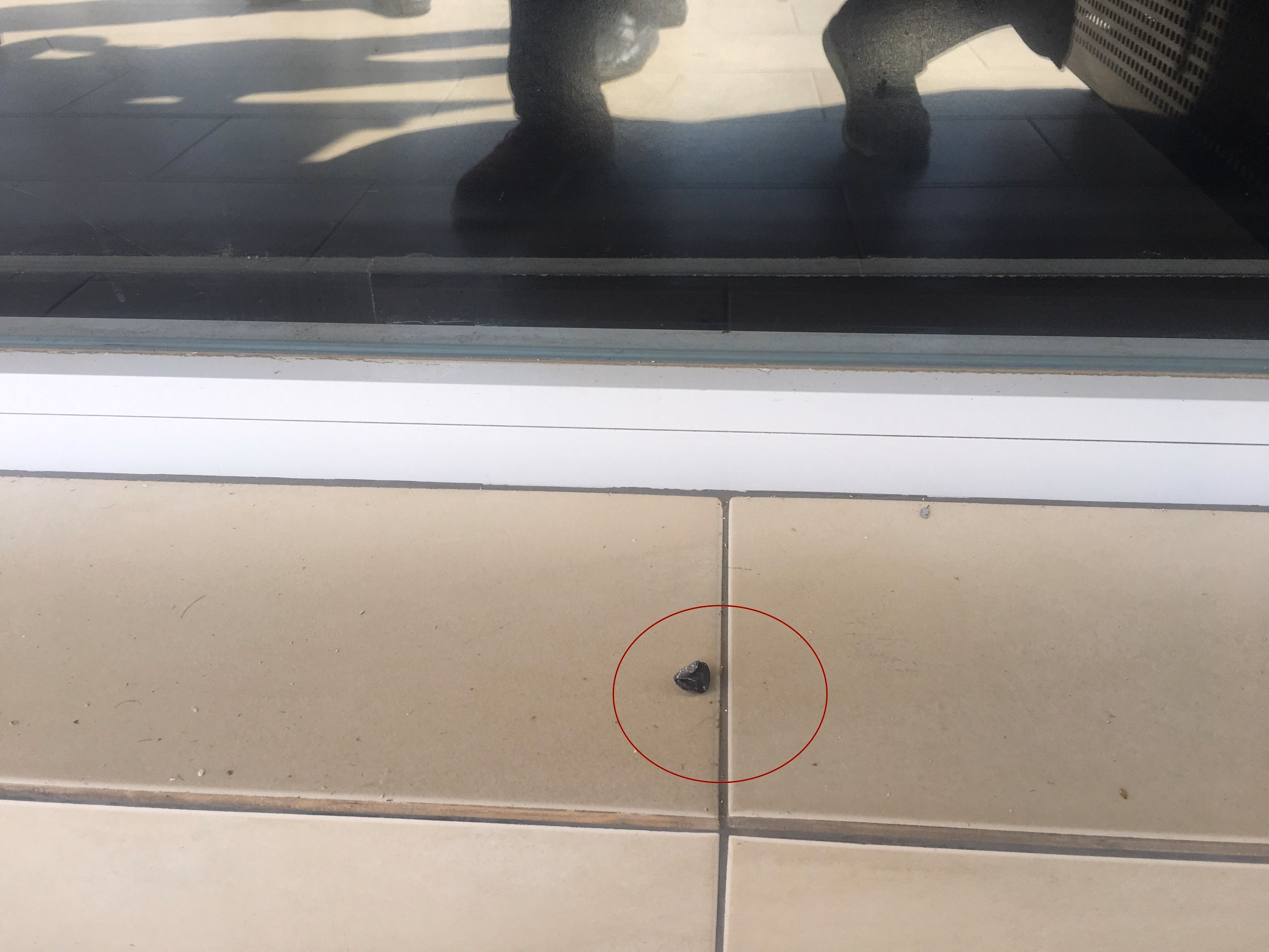 İçişleri Bakanlığı, Merkezi Cezaevinde Covid 19 Semptomları Taşıyan Hiç Kimse Olmadığını Duyurdu