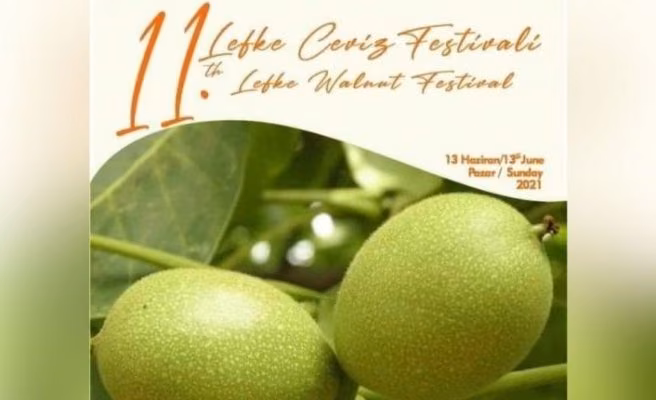 11. Lefke Ceviz Festivali Yarın Yapılıyor