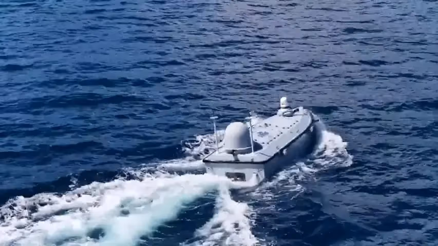 Denizde Ondan Kaçış Yok: PİRANA KİDA!