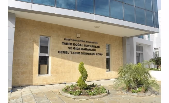 Tarım Bakanlığı’ndan Sebze Üreticilerine 5 TL’lik Fide Desteği