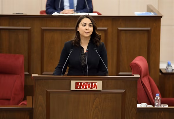 Meclis Genel Kurulu– 3