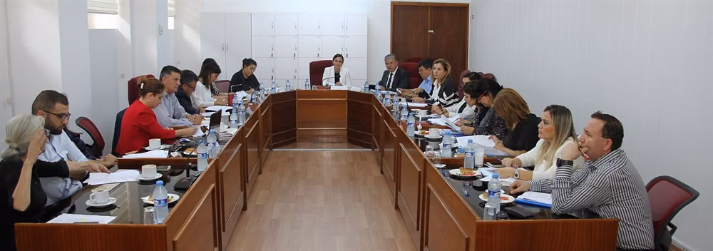 Cumhuriyet Meclisi, İdari, Kamu Ve Sağlık İşleri Komitesi Toplandı