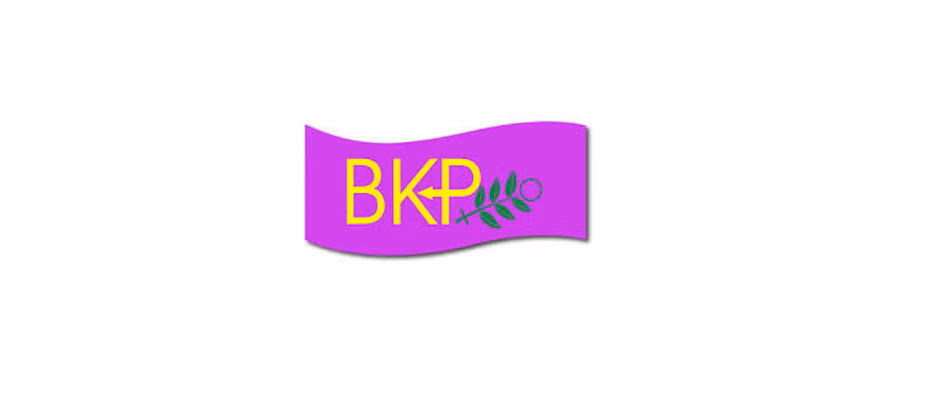 BKP Kadın Meclisi’den Sermaye Çevrelerine Eleştiri