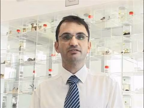 Kıbrıs’ta Keşfedilen Örümcek Türüne “Günselorum” Adı Verildi