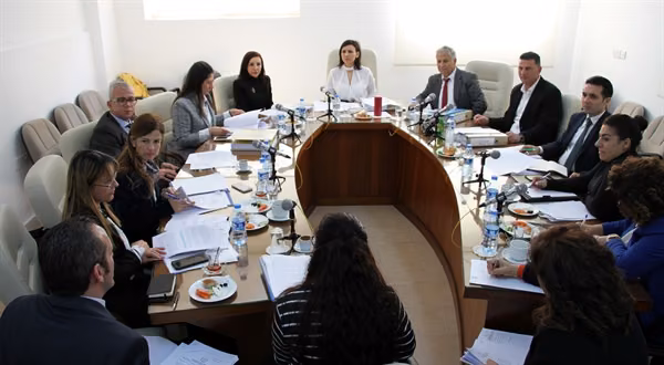 Cumhuriyet Meclisi Dilekçe ve Ombudsman Komitesi Toplandı