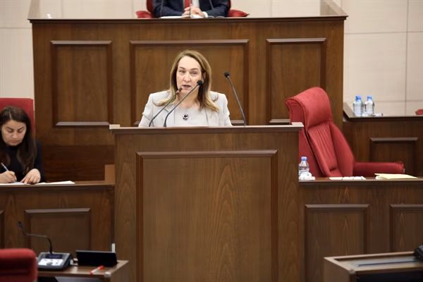 Yataklı Tedavi Kurumları Dairesi Yasa Tasarısı'na Oy Birliği