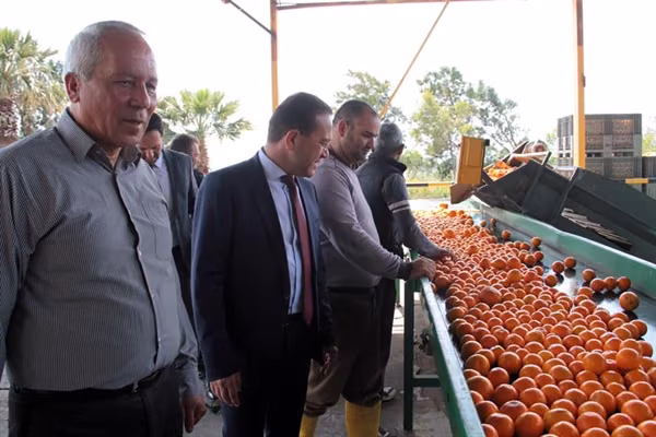 Şahali: “Narenciyede Dönüştürücü Adımlar Atmak Temel Vazifemiz”