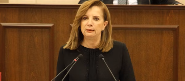 UBP Milletvekili Resmiye Eroğlu Canaltay: “Bu Sistemde Yasa Çıkarmak Mümkün Değil"