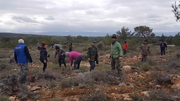 Avcılar Doğaya 10 Bin Fidan Dikiyor