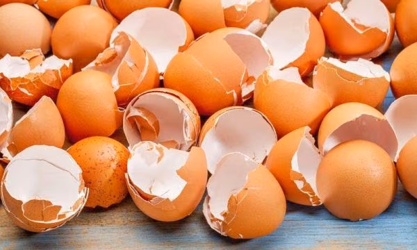 Yakın Doğu Üniversitesi Gıda Mühendisliği Bölümü Öğretim Üyesi Yrd. Doç. Dr. Vasfiye Hazal Özyurt’un da Yer Aldığı, Sentetik Katkı Maddesi İçermeyen Ürün Geliştirme Projesi TÜBİTAK’tan Destek