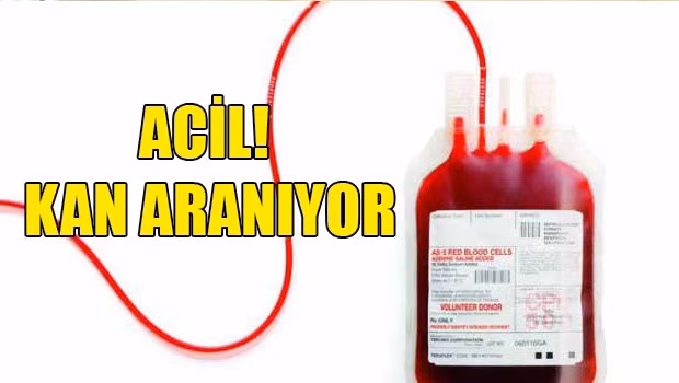 Dikkat Kan Aranıyor