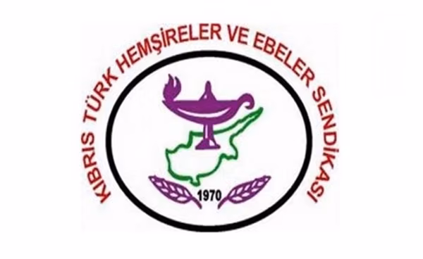 Hemşireler ve Ebeler Sendikası Meclis’e Çağdaş Bir Sağlık Sistemi ve Yeni Hastane Çağrısında Bulundu