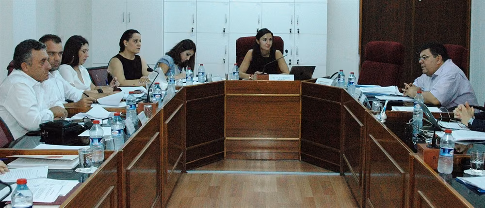 Cumhuriyet Meclisi Kamu Komitesi “İstatistik Kurumu Yasa Tasarısını” Görüştü