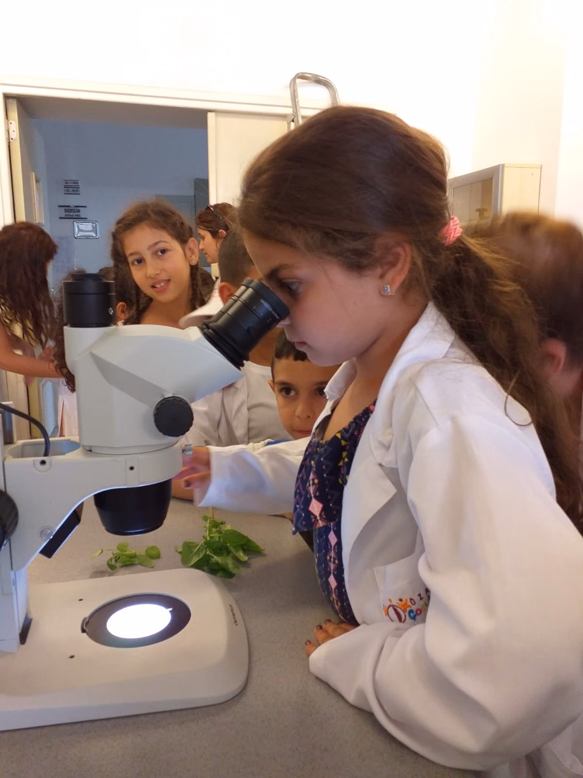 Özay Günsel Çocuk Üniversitesi 2019-2020 Kış Dönemi Kayıtları Devam Ediyor…