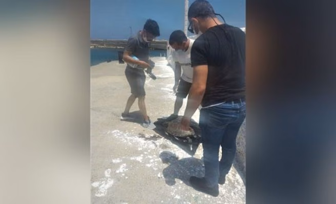 Ataoğlu, Doğaya Atılan Atıkların Yarattığı Tehlikelere Dikkat Çekti