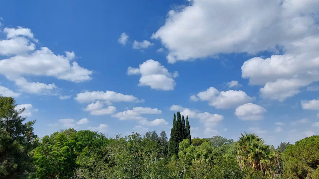 En Yüksek Hava Sıcaklığı 38 Derece