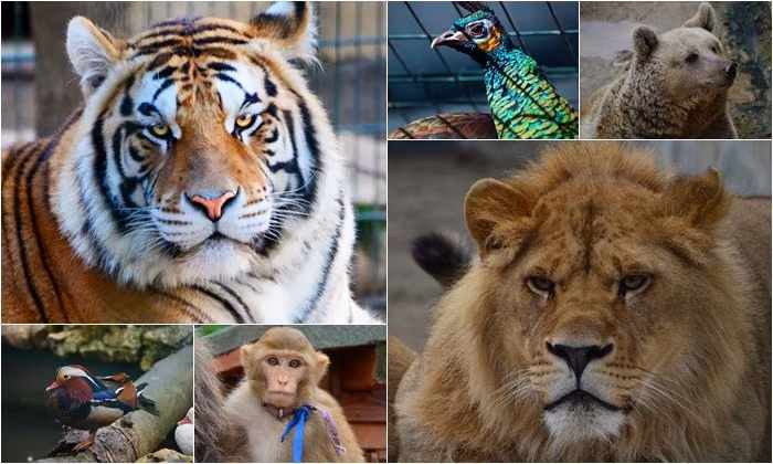 Pandemide İstanbul’da Safari Yaptık