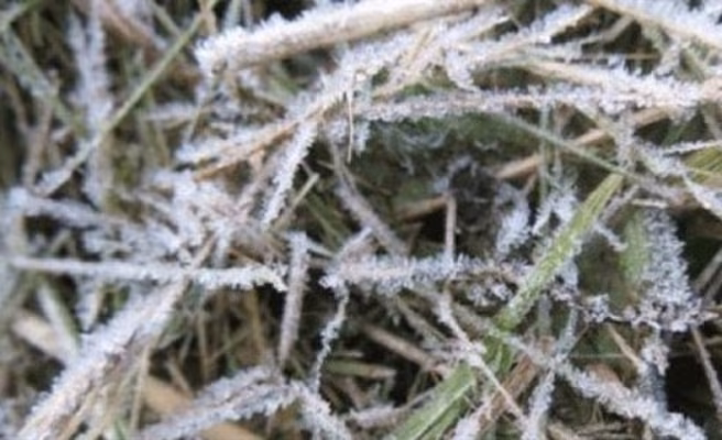 Meteoroloji Uyardı… Yarından İtibaren 3 Gün Don Bekleniyor