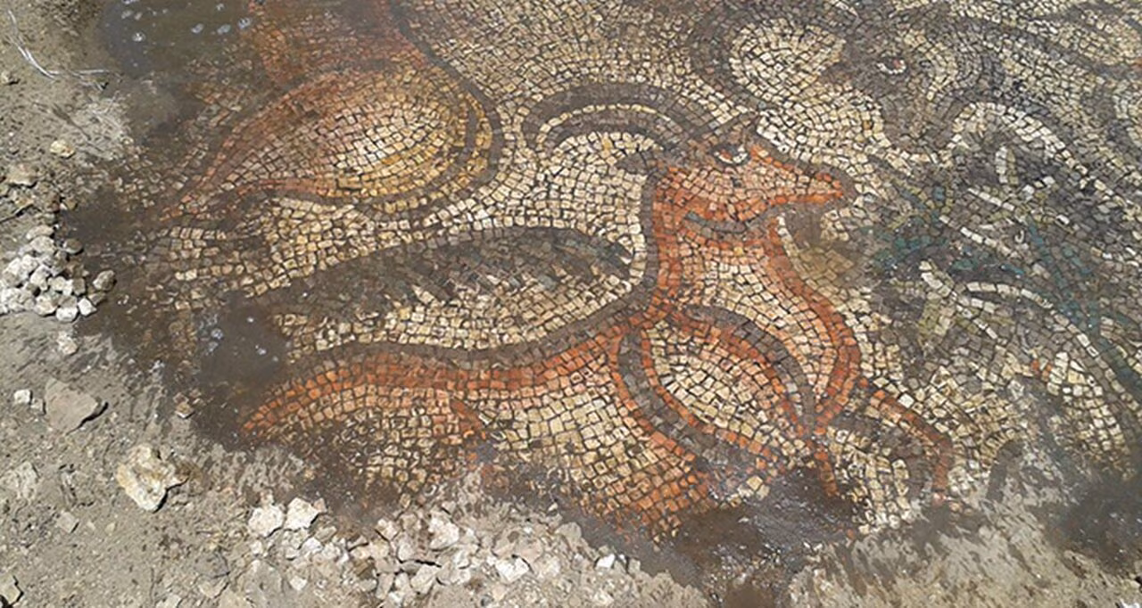 Tarladan 1600 Yıllık Mozaik Çıktı