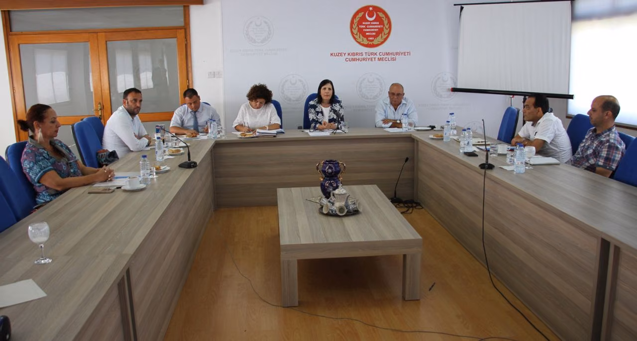 Sibel Siber; "Çevre Konusunda Denetim ve Cezalar Yetersiz"