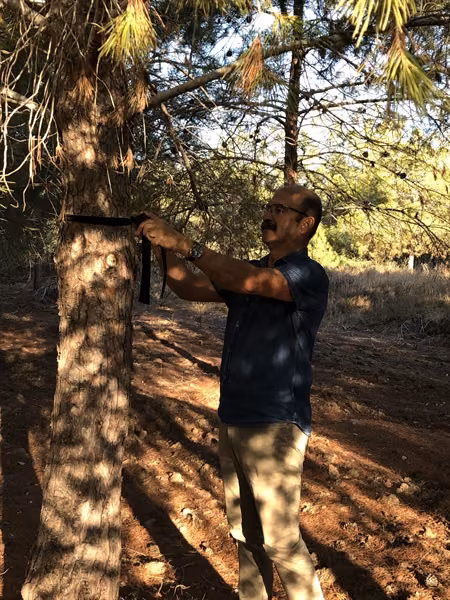 Salamis Ormanlarına Kuş Yuvası Yerleştirme Hafta Sonu Devam Edecek