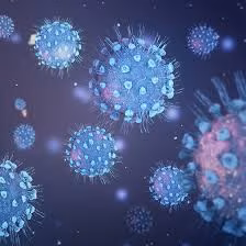 Son 24 Saatte 3 Bin 900 Test Yapıldı, 47 Pozitif Vakaya Rastlandı, 1 Kişi Hayatını Kaybetti