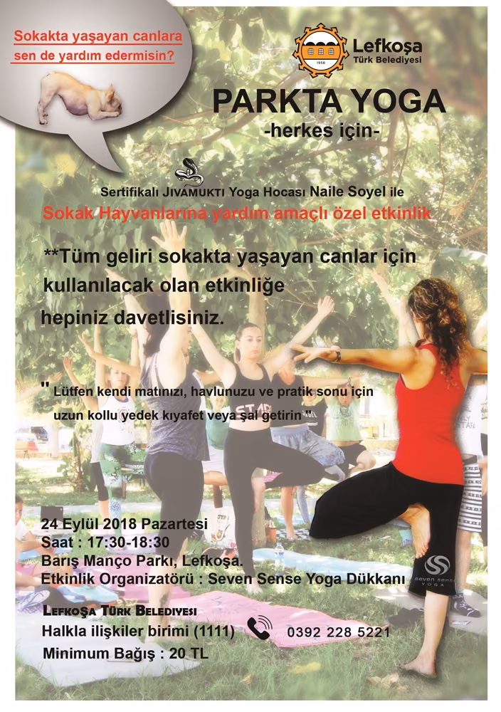 LTB’den Sokaktaki Hayvanlar İçin Yoga Etkinliği