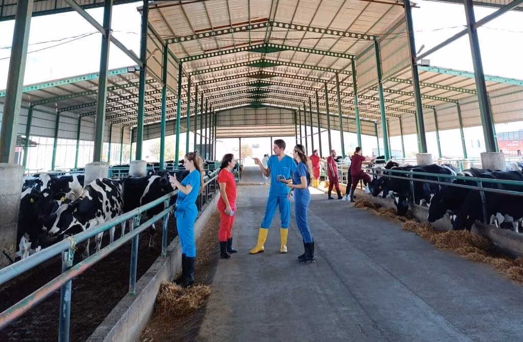 Veteriner Hekimliği Dünyası KKTC’de Buluşacak!