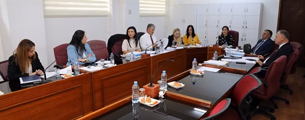 Güvenlik Kamu Görevlileri (Değişiklik) Yasa Tasarısı Komiteden Geçti