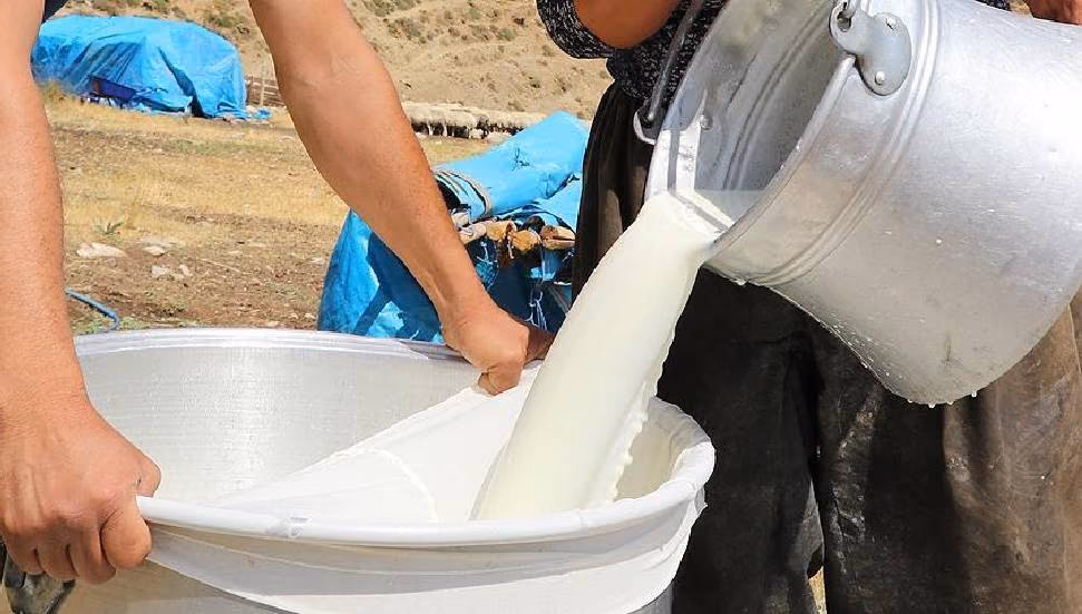 SÜTEK, 721 Üreticiye 202 Milyon 875 Bin TL Süt Bedeli Ödedi