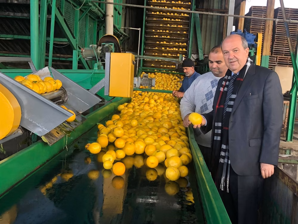 Tatar Güzelyurt’ta Temas ve İncelemelerde Bulundu