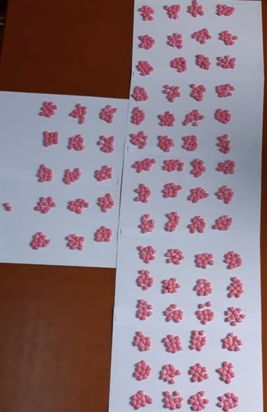 Lefkoşa’da 752 Adet Uyuşturucu Hap Ele Geçirildi