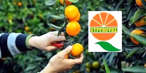 “CYPFRUVEX” Ürün Bedelleri Ödemesinin Çarşamba Gününden İtibaren Yapılacağını Duyurdu
