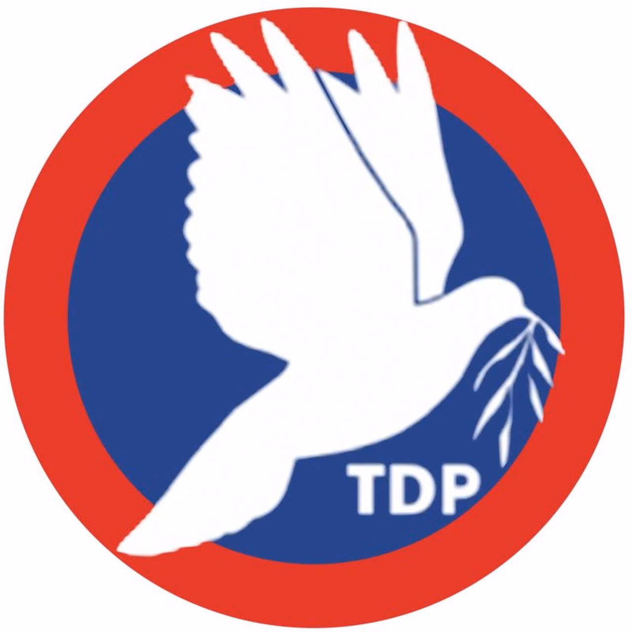 TDP'den Kıbrıs Konusu Kararı...