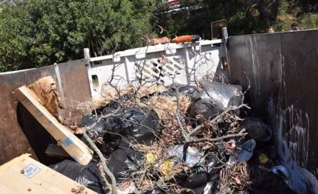 Boğaz Piknik Alanı Temizlendi