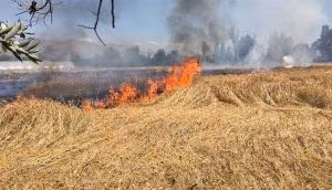 6 Farklı Yerde Yangın