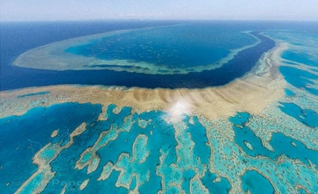 UNESCO'ya Göre Büyük Bariyer Resifi'nin Dünya Mirası Listesi'ne Dahil Edilmesi Gerekiyor
