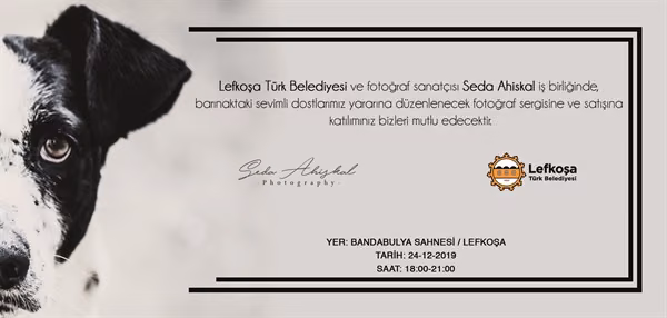 LTB'den Hayvan Barınağı Yararına Fotoğraf Sergisi